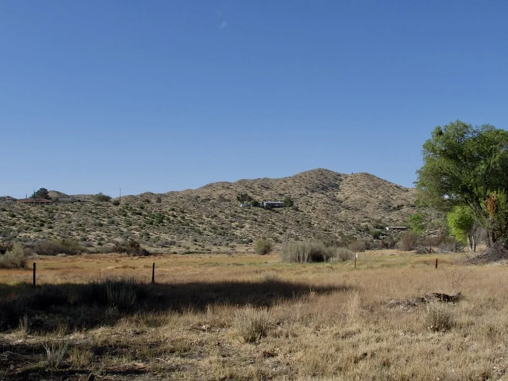  Big Morongo Canyon Preserve bird walk.