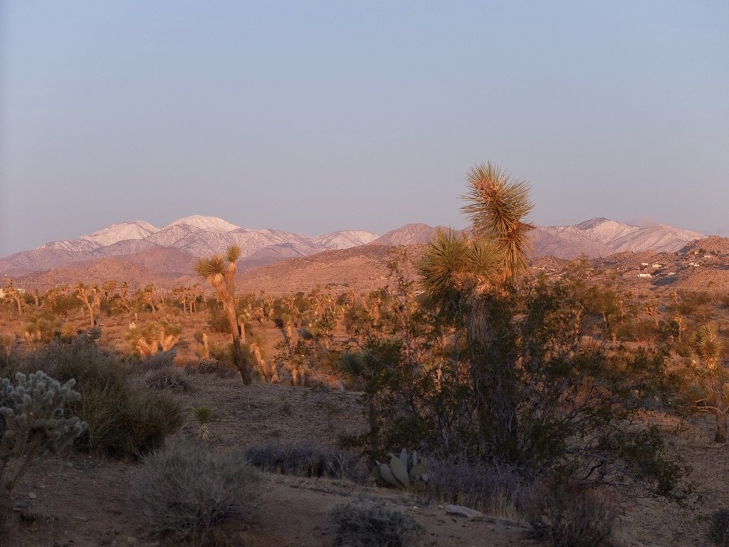 Looking north-west outside our bungalow at dawn.