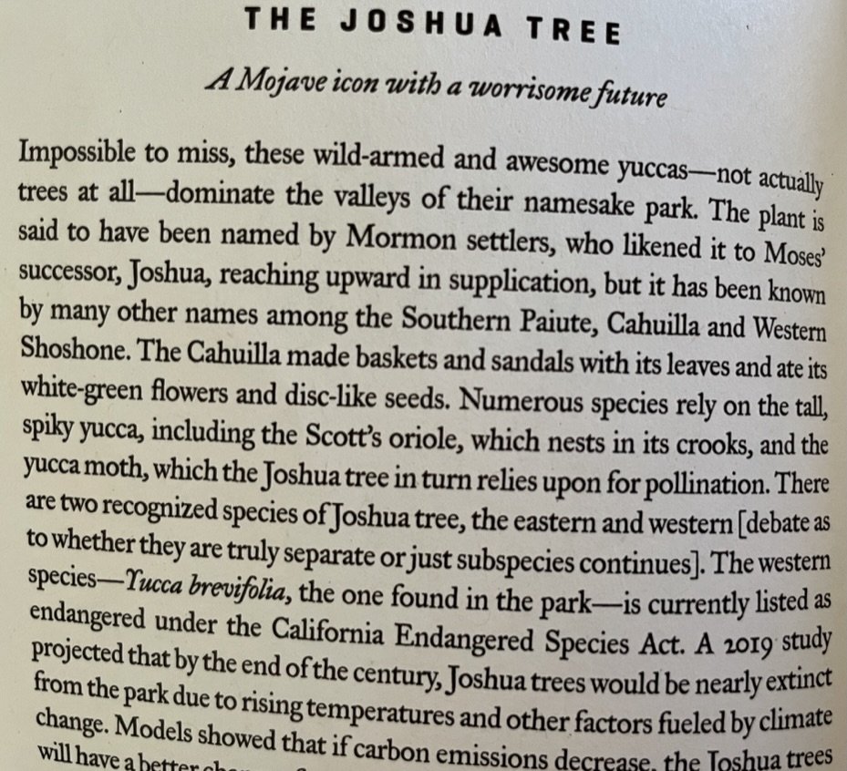 Excerpted from "JOSHUA TREE - Where Two Deserts Meet - Widsam Nat'l Parks".