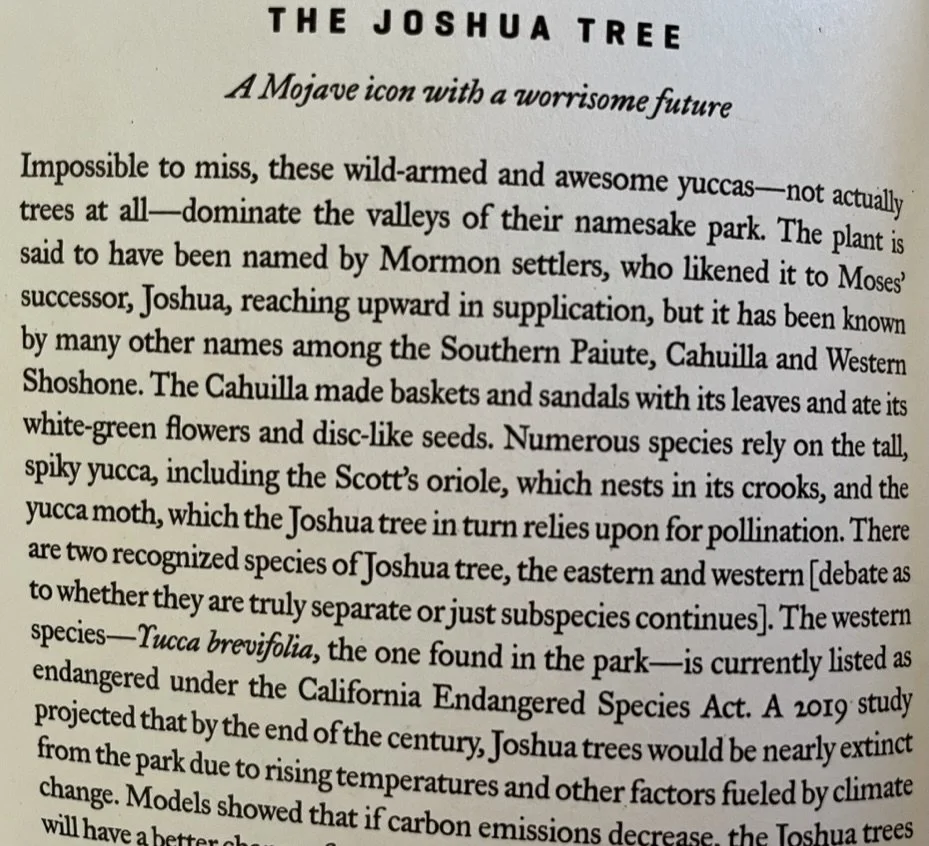Excerpted from "JOSHUA TREE - Where Two Deserts Meet - Widsam Nat'l Parks". 