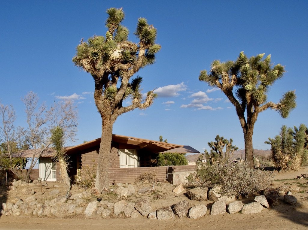 ...Elements include indoor/ outdoor living, the use of local materials and siting of buildings into the existing landscape. The term organic architecture was coined by Lloyd Wright's father Frank Lloyd Wright."