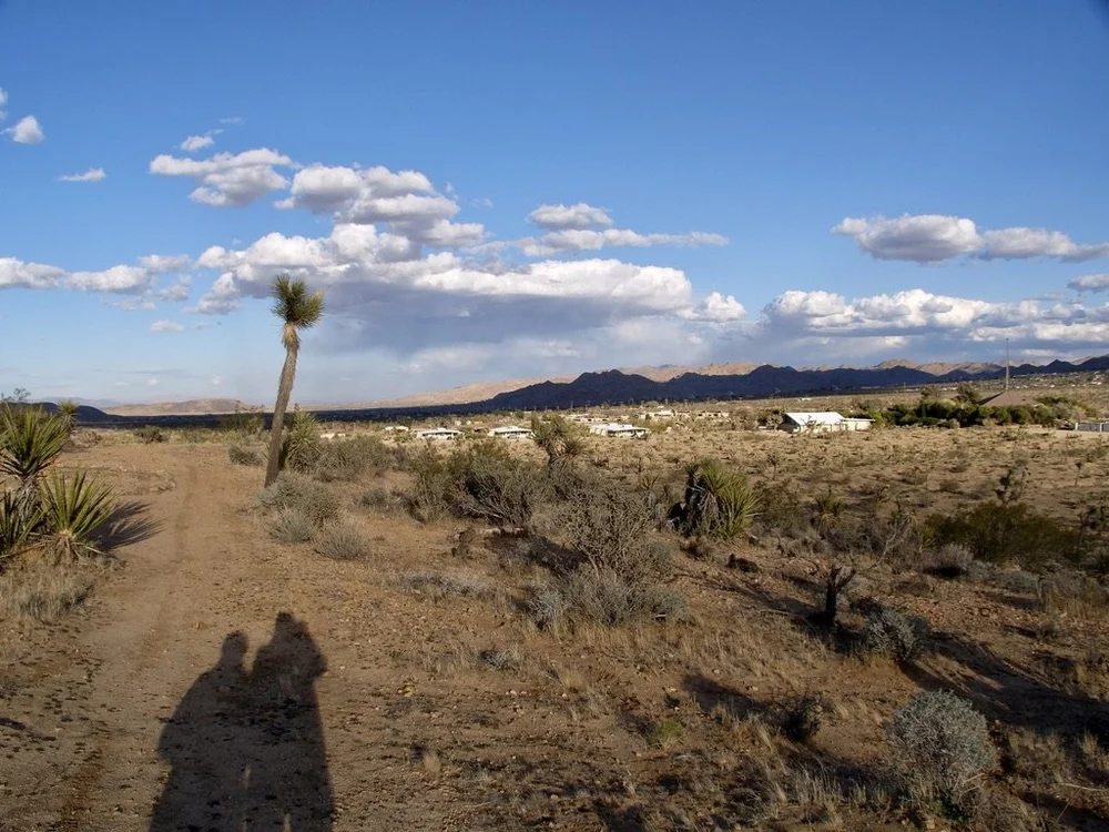  View from Om Hill of The Bungalows by Homestead Modern &amp; Institute of Mentalphysics Joshua Retreat Center with the  San Bernadino Mountains of Joshua Tree  Nat’l Park in the distance. 