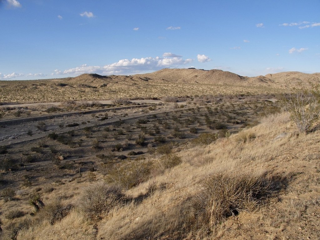 Coyote Valley & Cooper Mountain.
