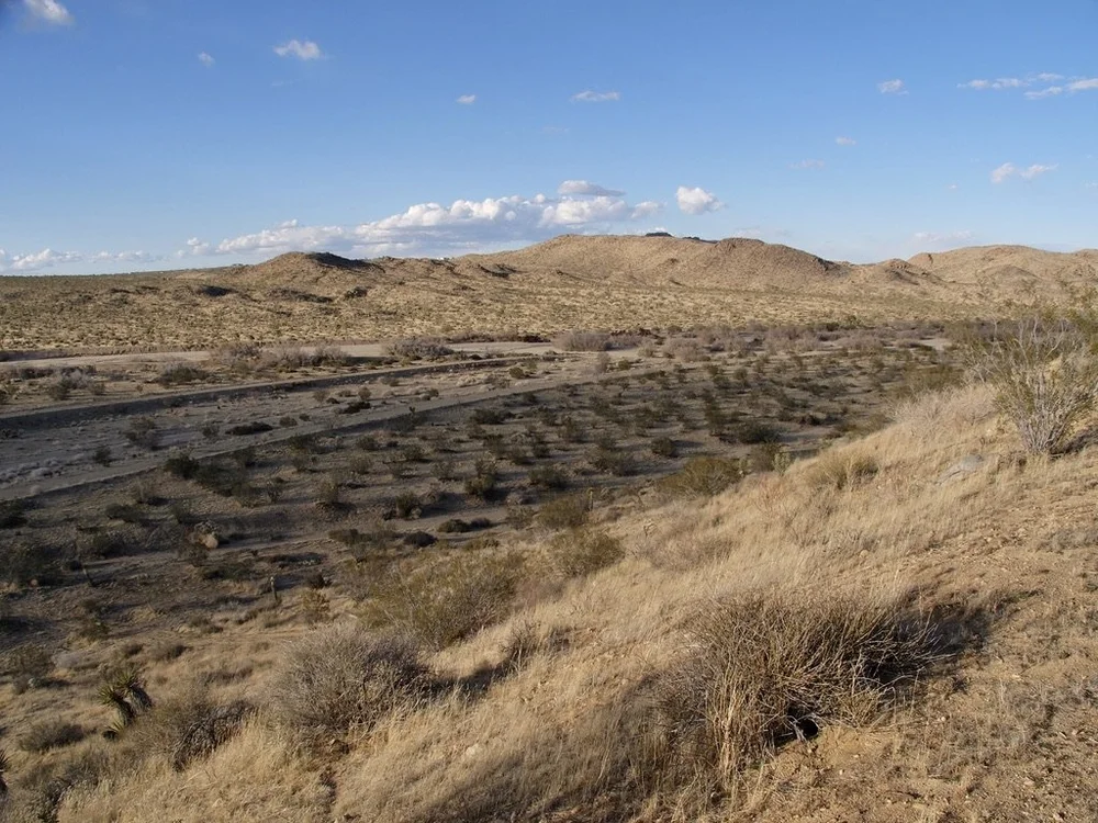 Coyote Valley &amp; Cooper Mountain.