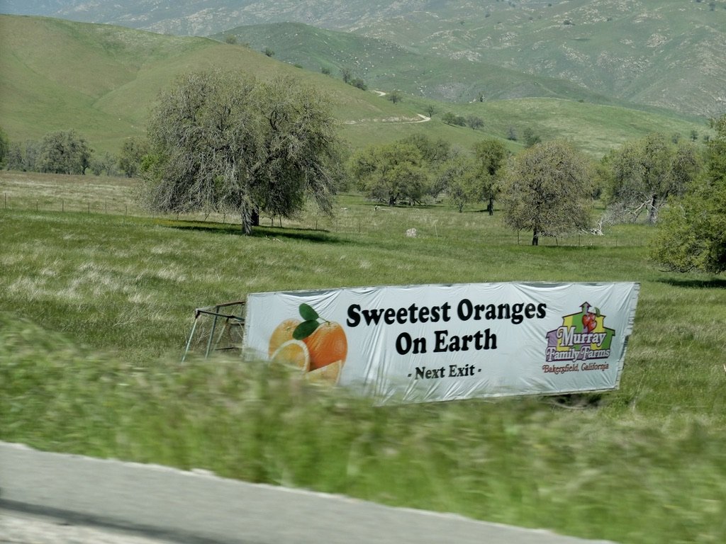 California Highway 46. Oranges and...