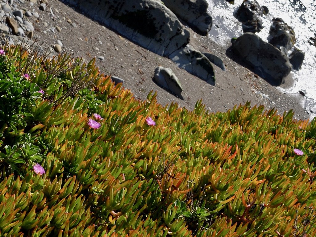Cambria, CA.