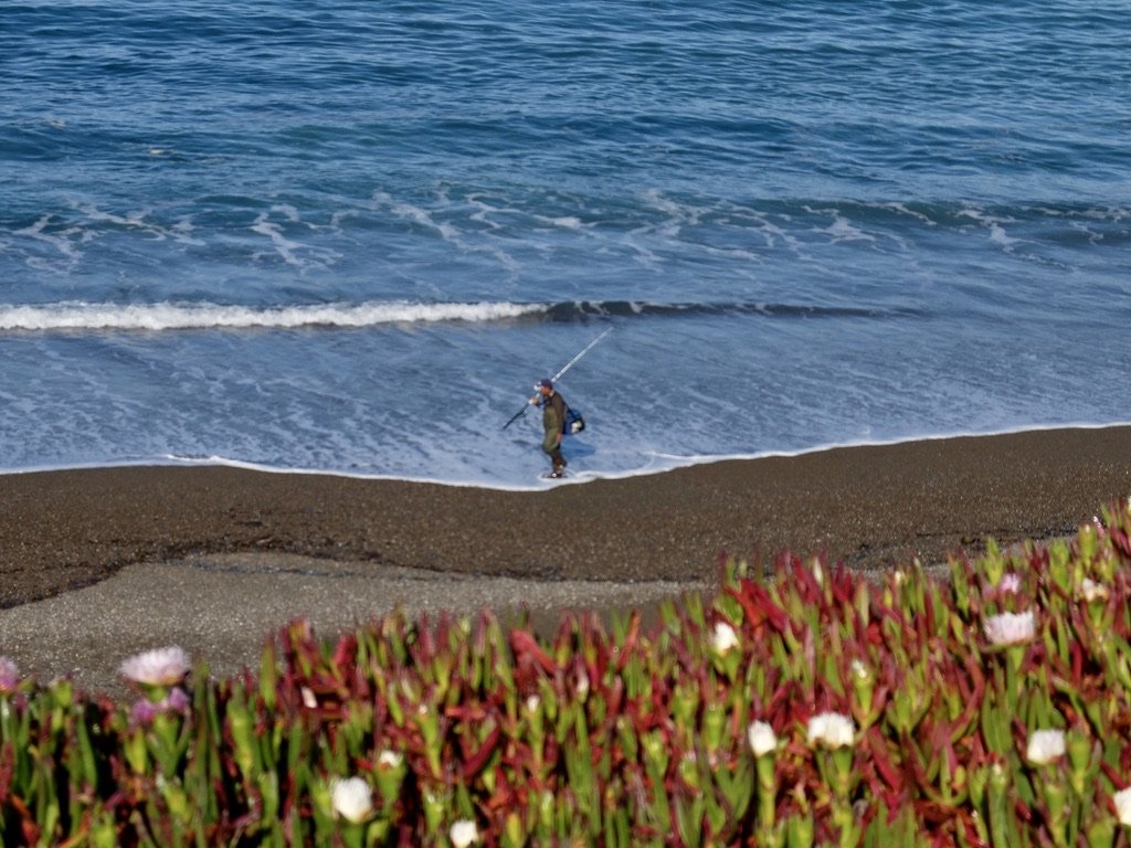 Cambria, CA.