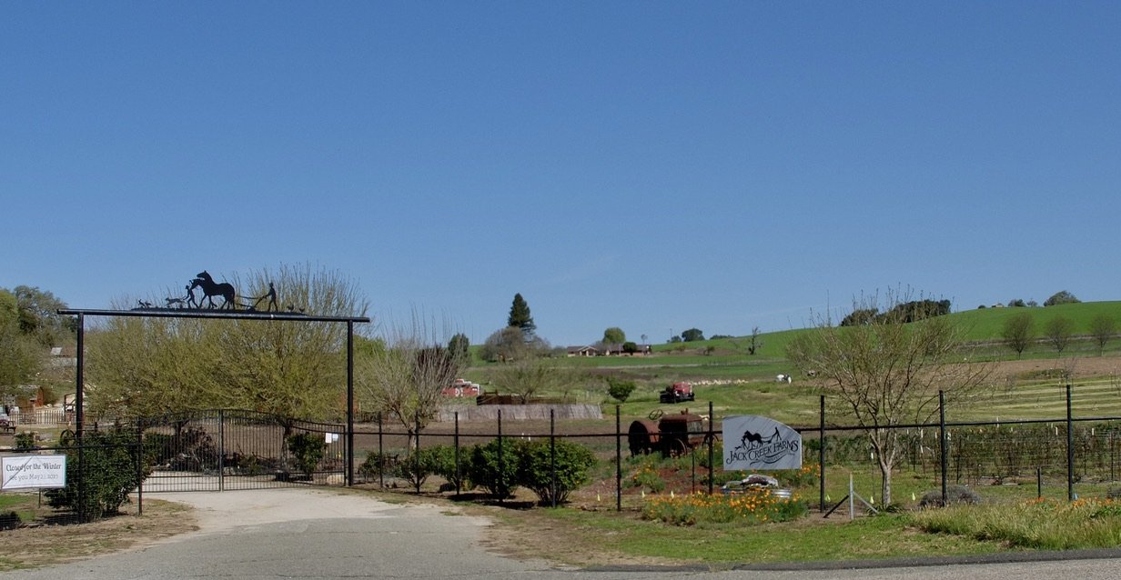 CA Hwy 46 Cambria to US 101. Who knew? I just asked Nomi to stop so I could take a photo. “…a small 5th generation family farm…We offer u-pick for our blackberries, peaches, apples, sweet onions, summer veggies, herbs and heirloom tomatoes. Happy