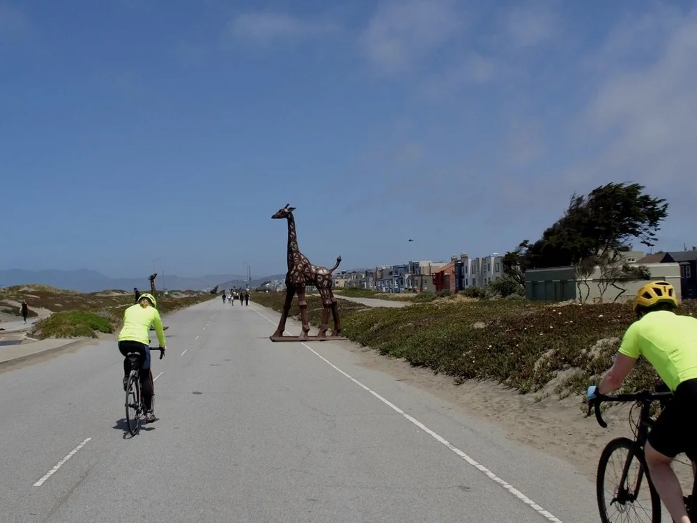 The Upper Great Highway along the San Francisco coast.  No more cars.