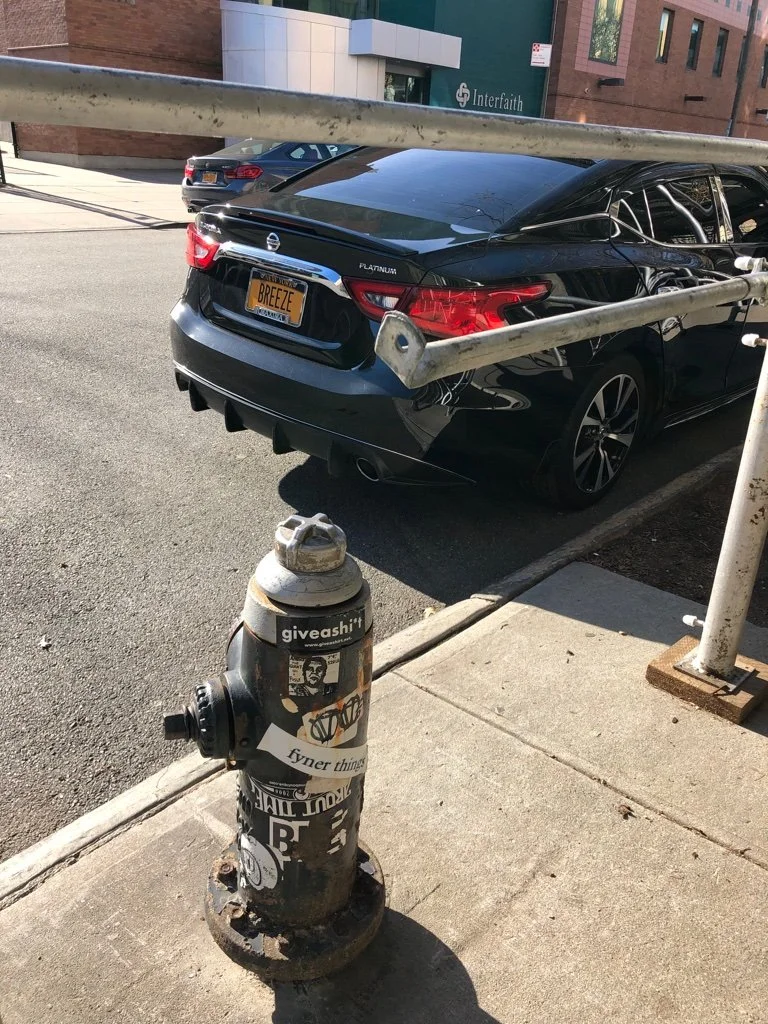 Prospect Hts., B'klyn, NY