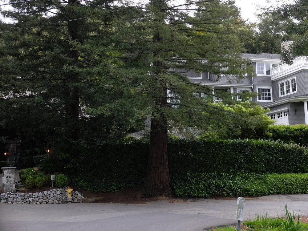 Makin Grade, Kentfield CA