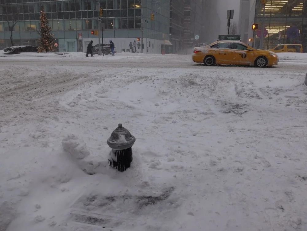 Fifth Ave., Manhattan, the Blizzard of January 2017.