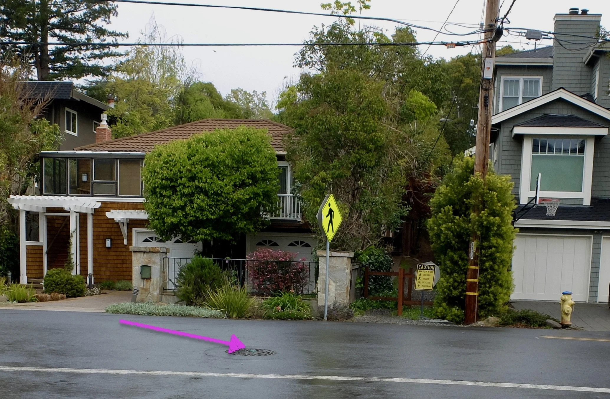 The blue reflective pavement marker indicates a nearby fire hydrant. Kentfield, CA