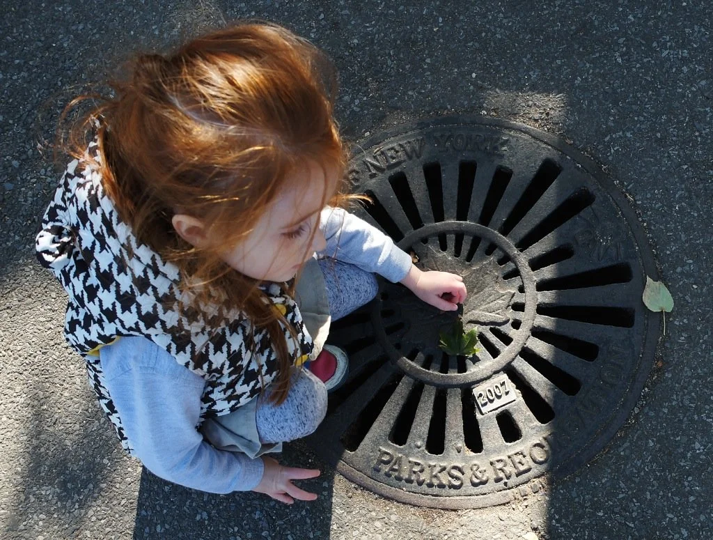 Sometimes the covers are admired or just a resting place. The NYC Parks & Recreation…