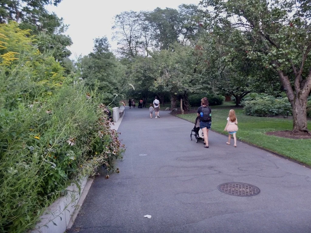 Brooklyn Botanic Garden.