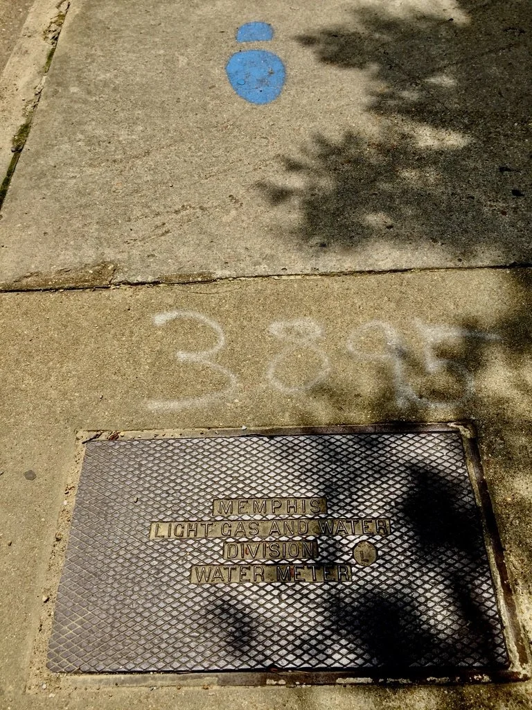 Across the street from Graceland.