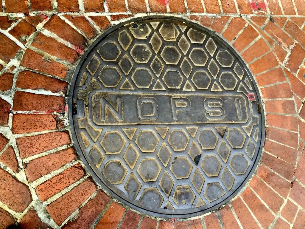 New Orleans' main utilities company, the N ew O rleans P ublic S erviceI I ncorporated.