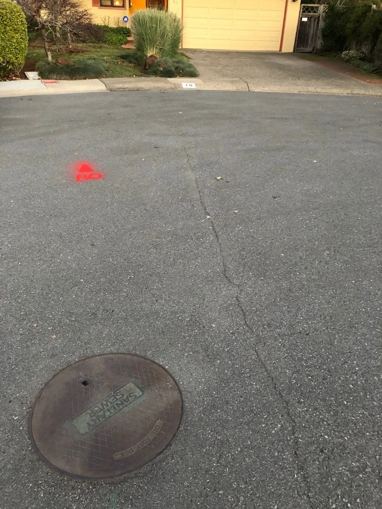 Plain &amp; simple in front of our Kentfield home.