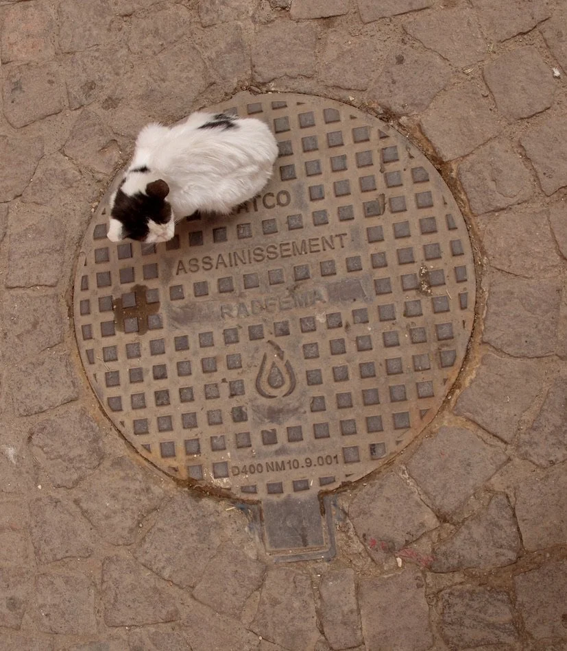  “The Water and Electricity Distribution Authority of Marrakech (RADEEMA).”  Assainissement = Sanitation.   Marrakech,  Morocco. 