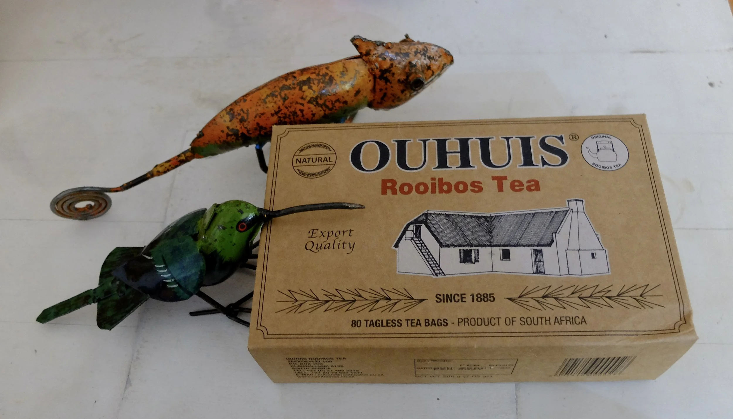  Green Wood-Hoopoe or Common Sunbird Asity?  Company's Gardens Restaurant.  Cape Town Eats Tour with Karen Schmidt.   