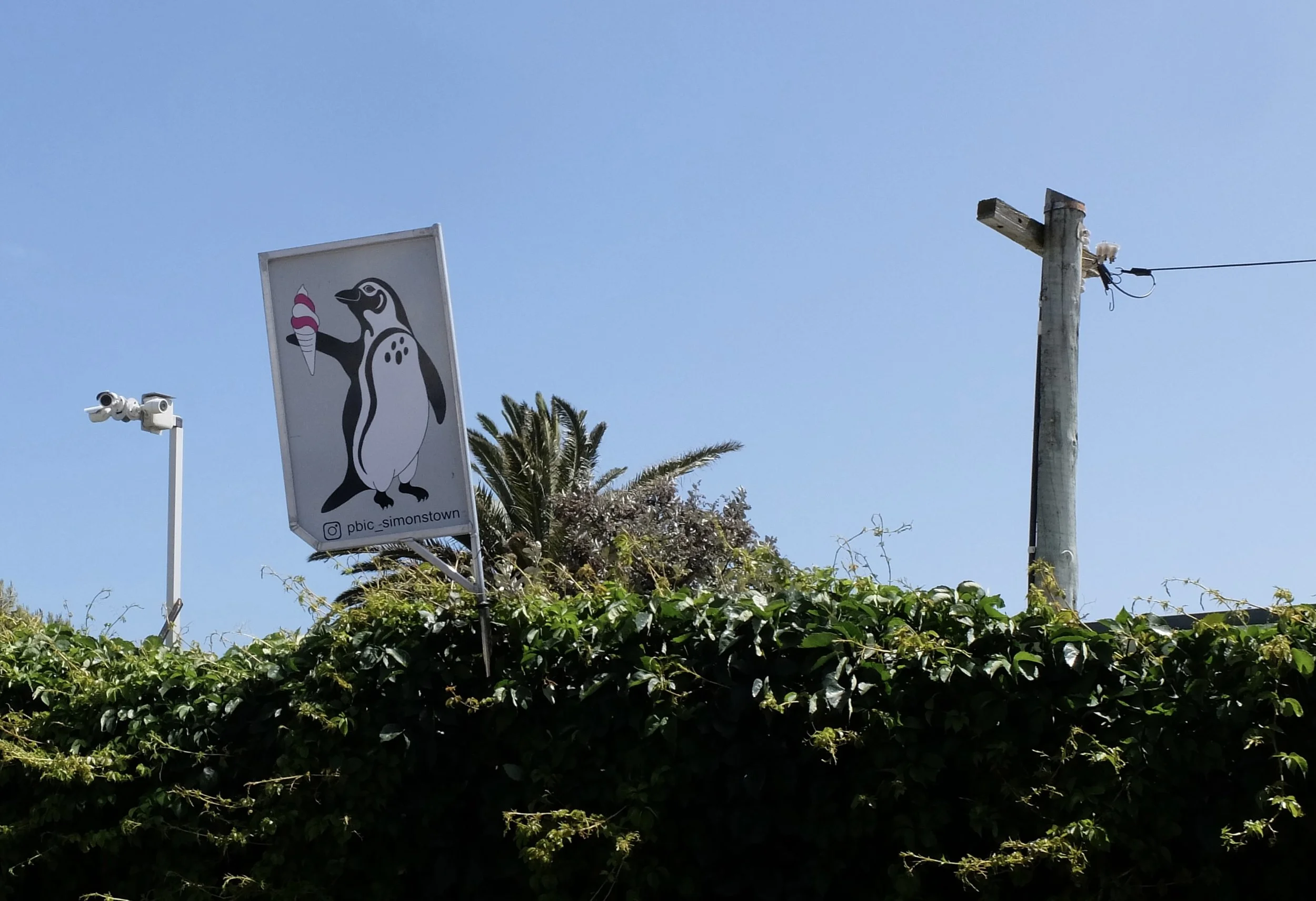  Simon’s Town, South Africa. 