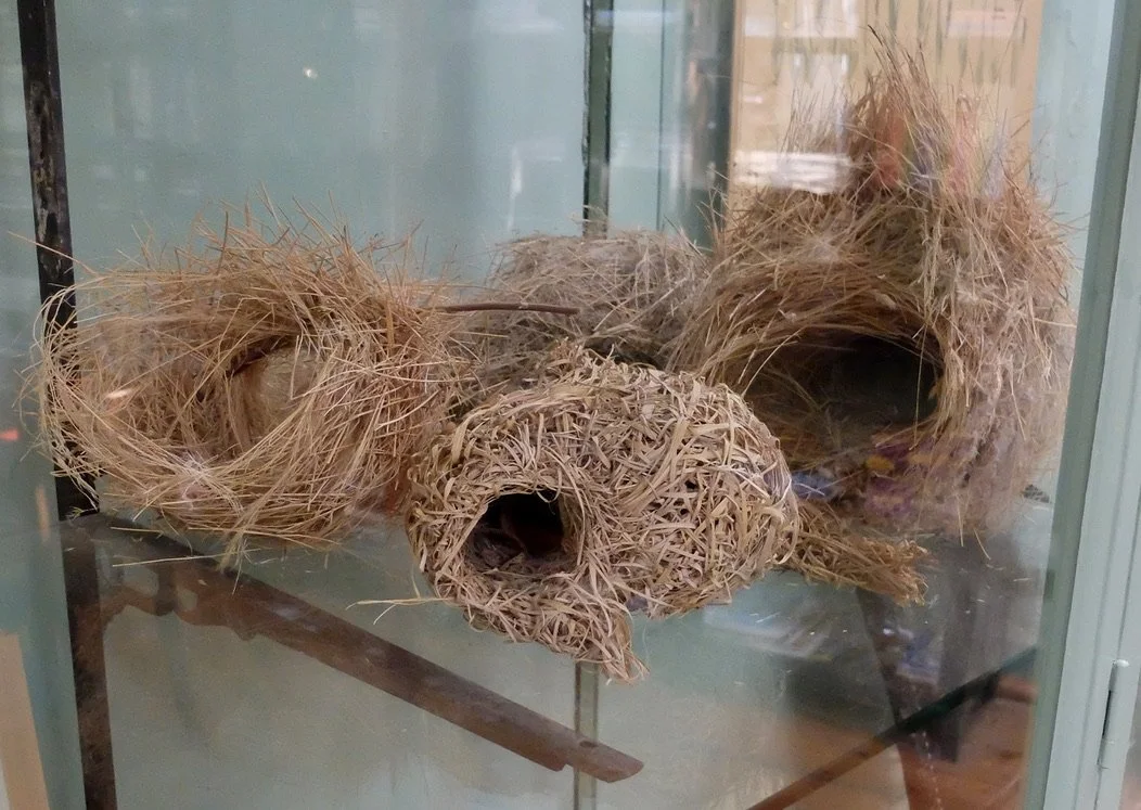  Babylonstoren Farm Hotel, Franschhoek , South Africa. 