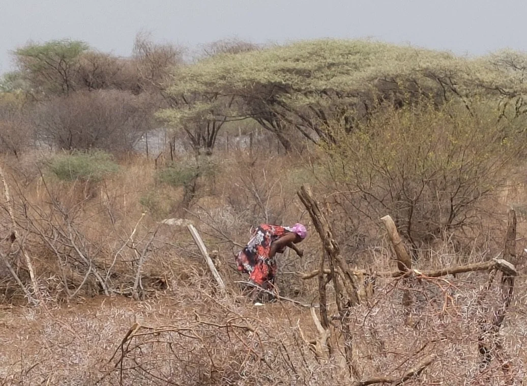 Mabele is a small village situated 10 kms from Ngoma in the Chobe enclave.