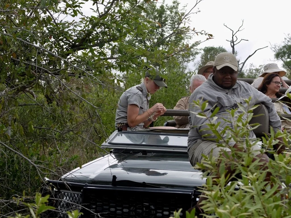  A group from another lodge as we observed a pride of lions.  Note the bullets on the belt of their guide who must have had a firearm.  Ours didn’t.  Notten's Bush Camp, Sabi Sands Nature Preserve, South Africa. 