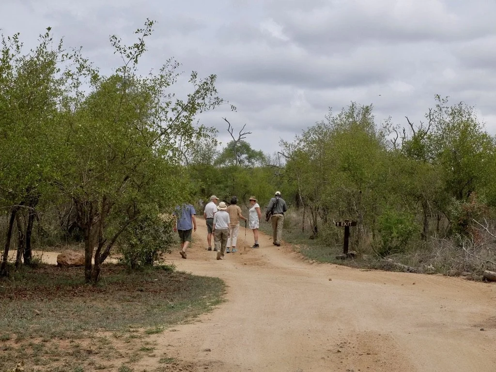  …but because I couldn’t have handled such a long walk.      Notten's Bush Camp, Sabi Sands Nature Preserve, South Africa. 