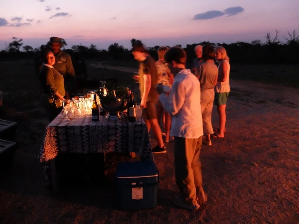  Three Land Cruisers from our lodge stopped for sunset barbecued appetizers &amp; drinks.  Notten's Bush Camp, Sabi Sands Nature Preserve, South Africa. 