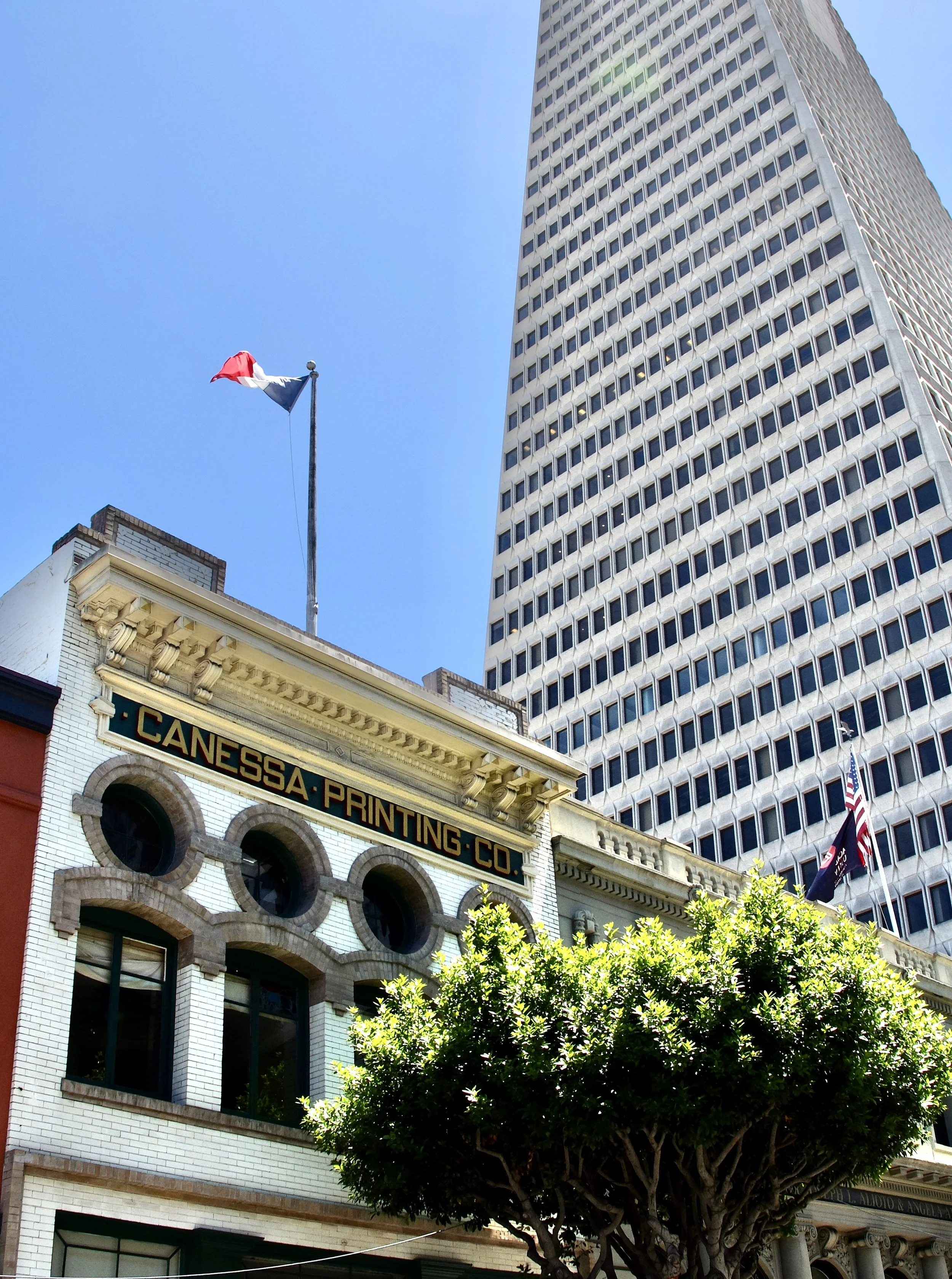  …”Canessa Printing Company Building, site of the Black Cat Cafe, the ‘Temple of True Bohemia’ Cafe.”   “The first ‘building’ on this lot was actually a wooden ship. Its hull was eventually incorporated into the building. By 1853, a brick building oc