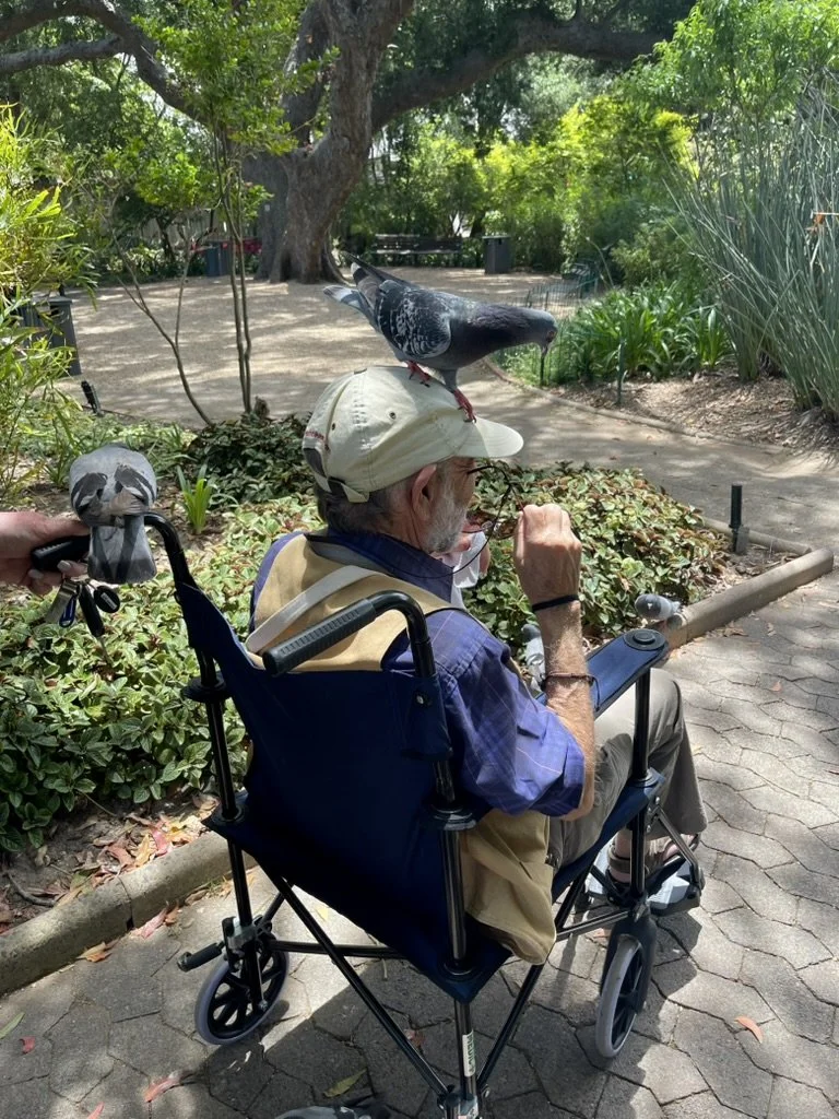  The Company’s Garden.   Cape Town Eats  Tour with Karen Schmidt 