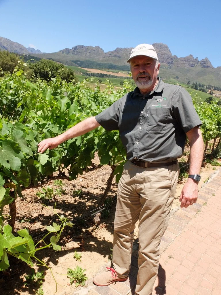   Vergelegen Wine Estate .  We had lunch here.   