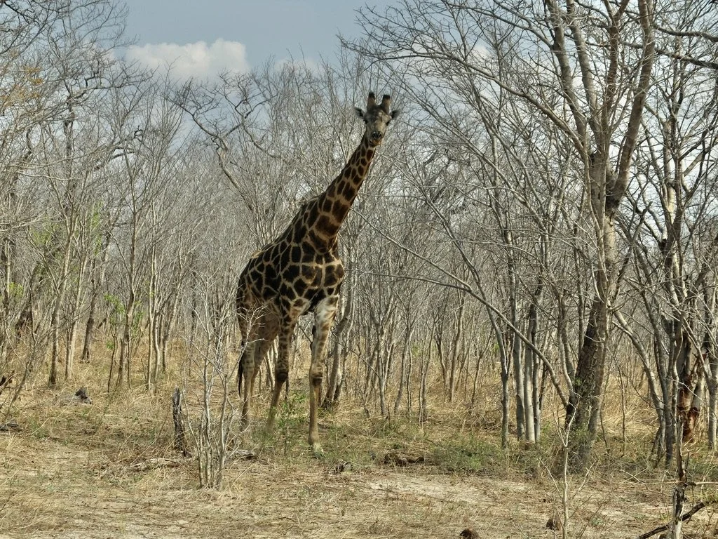  And we immediately had a greeter!   