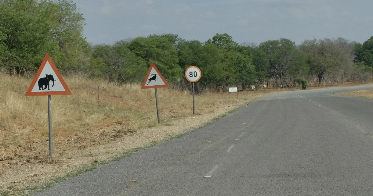  We didn’t encounter elephants for a while.  It had recently rained so they weren’t hanging down at the Chobi River.    Kudus we saw aplenty. We even saw one jump across a road like shown on that sign.  CHOBE FOREST RESERVE, Botswana. 