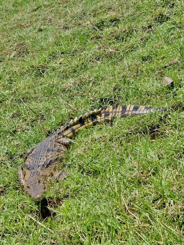  Chobi River, Chobe Nat’l Park, Botswana. 
