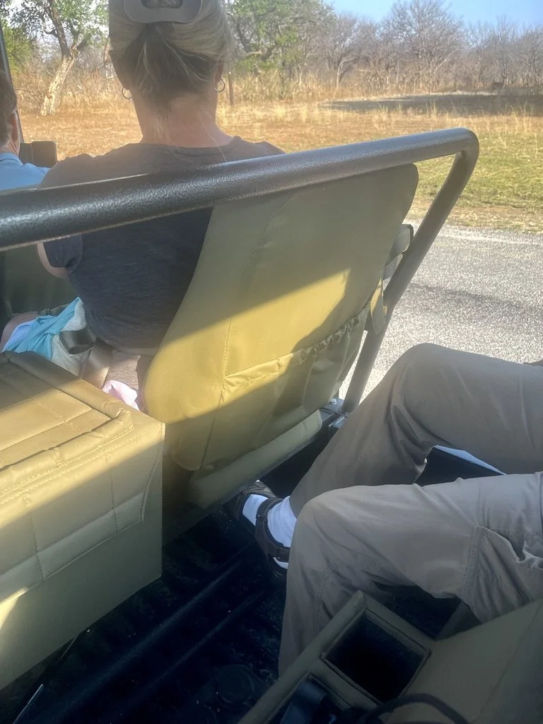  After a rusk* dipped in coffee or Rooibos (roy-bus) tea  it was 5:30 AM &amp; we settled into our Land Cruiser for some game viewing.    I surprised everyone by climbing right up into a top seat.  I had plenty of leg room &amp; a place to raise &amp
