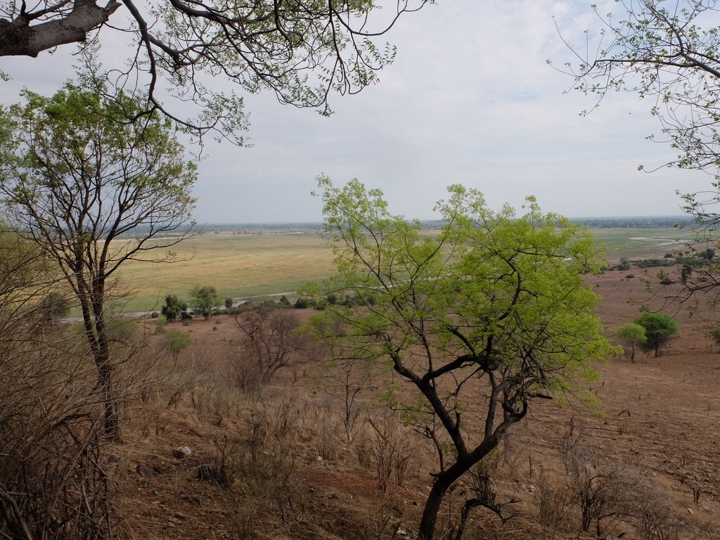  At 4:50 AM Nomi asked “Is that a basketball game on our thatched roof?”   I peeked out the curtain onto the deck &amp; saw a troop of baboons clamoring down from our roof.    Muchenje Safari Lodge, Chobe, Botswana. 