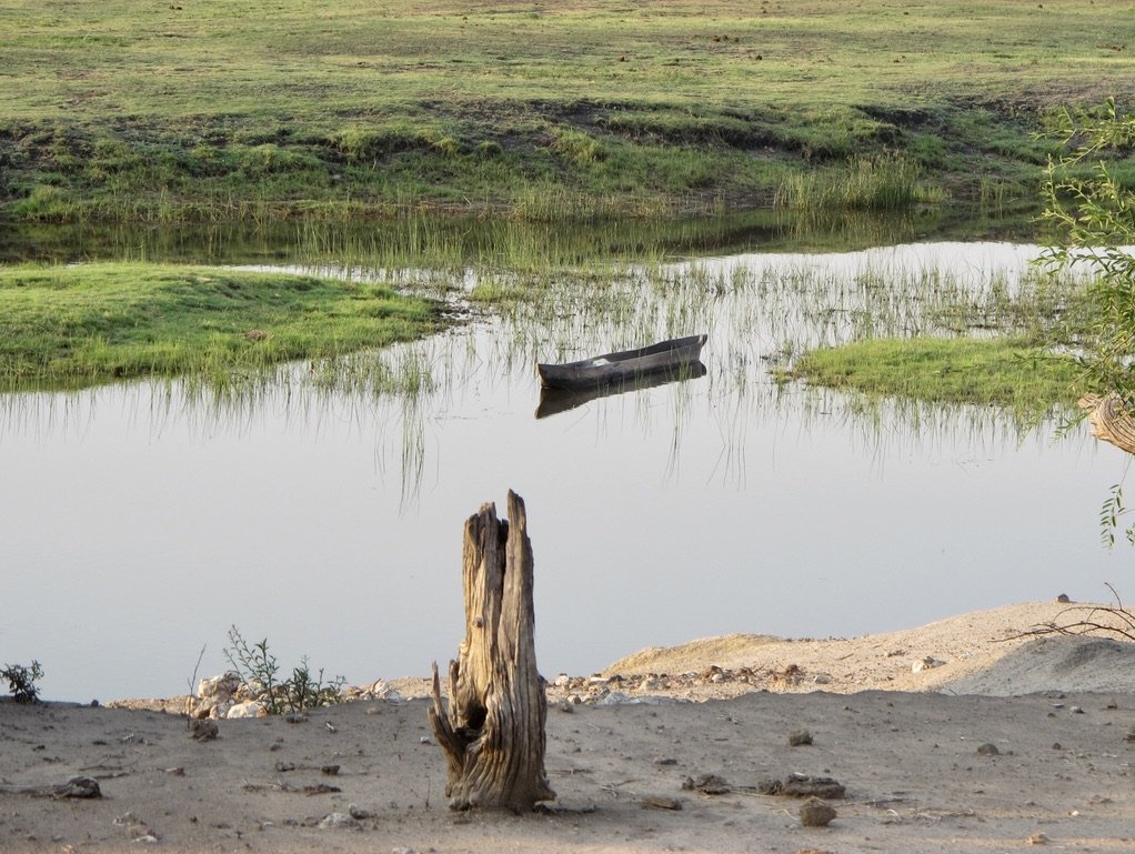  Abandoned? dugout canoe (mokoro). 