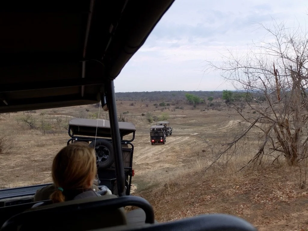  If a guide had spotted a pride or some other grouping of animals, the coordinates were sent out to other groups on safari.  But only a limited number of Land Cruisers would be allowed around the animals. 