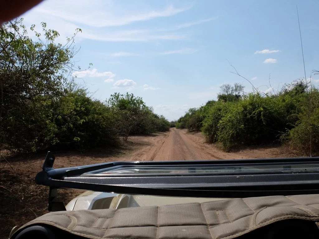  It was suggested that I sit in the front passenger seat.  I loved it with the dropped windshield but it was too uncomfortable for my leg. 