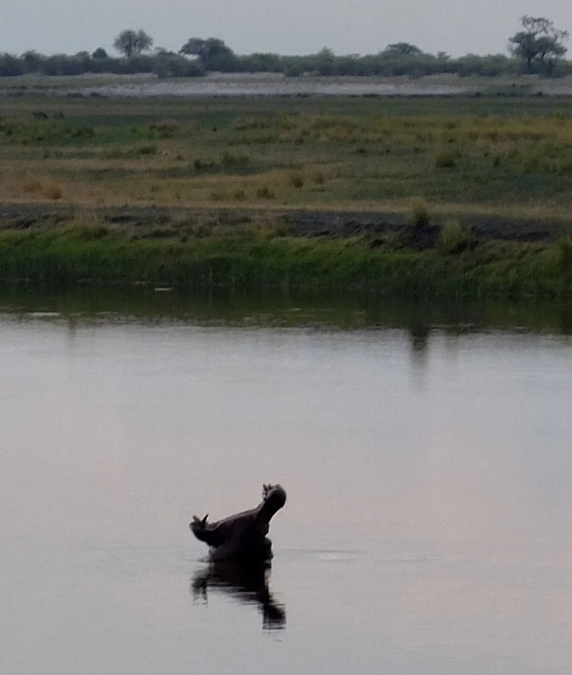  Now this says Africa! 