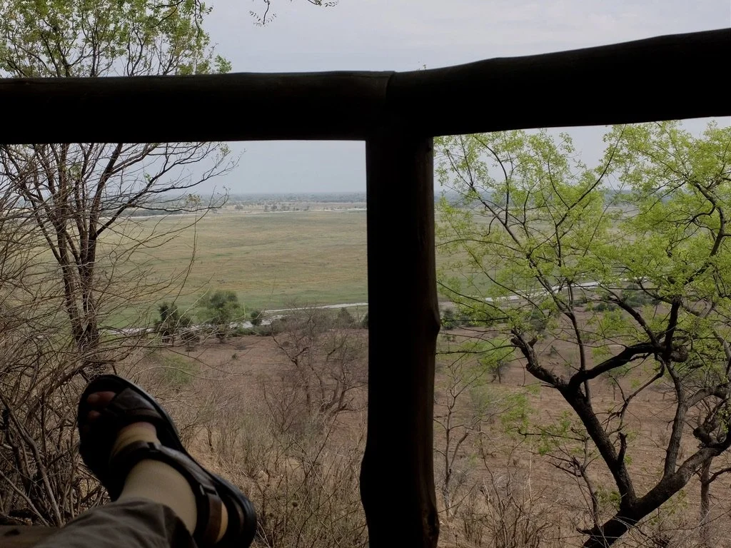  To my right, is an old baobab. 