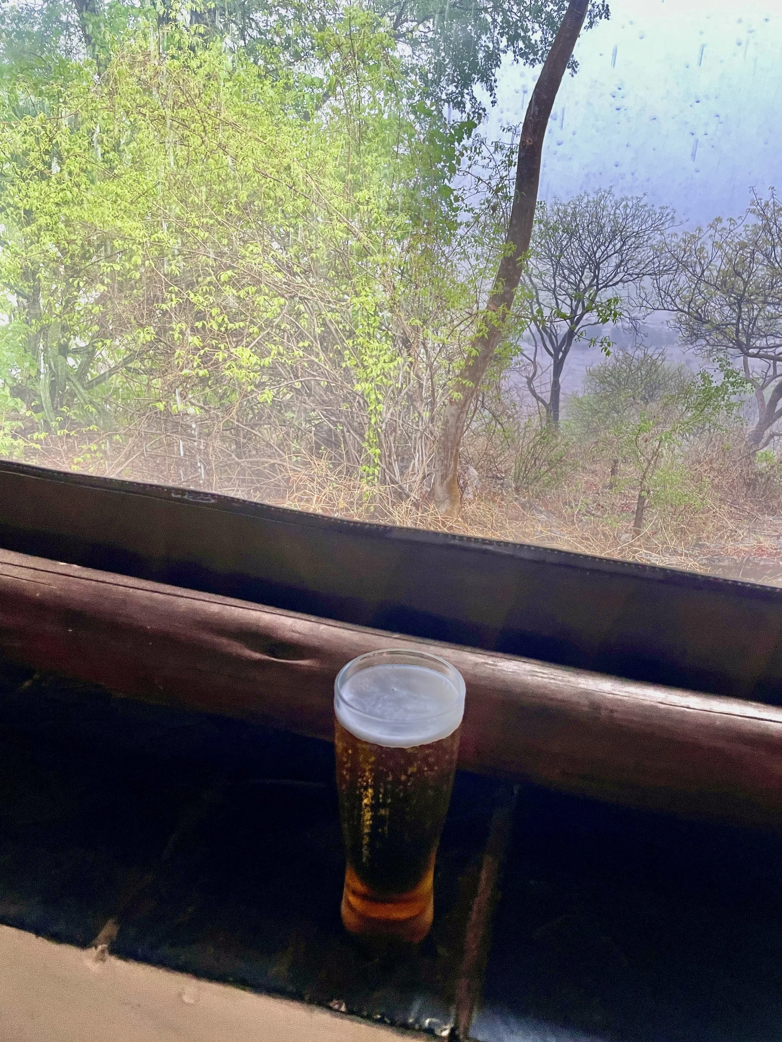  Pula!  In Setswana, pula means “Cheers!, rain &amp; it’s the name of Botswana’s currency.”  It rained that afternoon.  We declined to go on a game drive &amp; get soaked… 