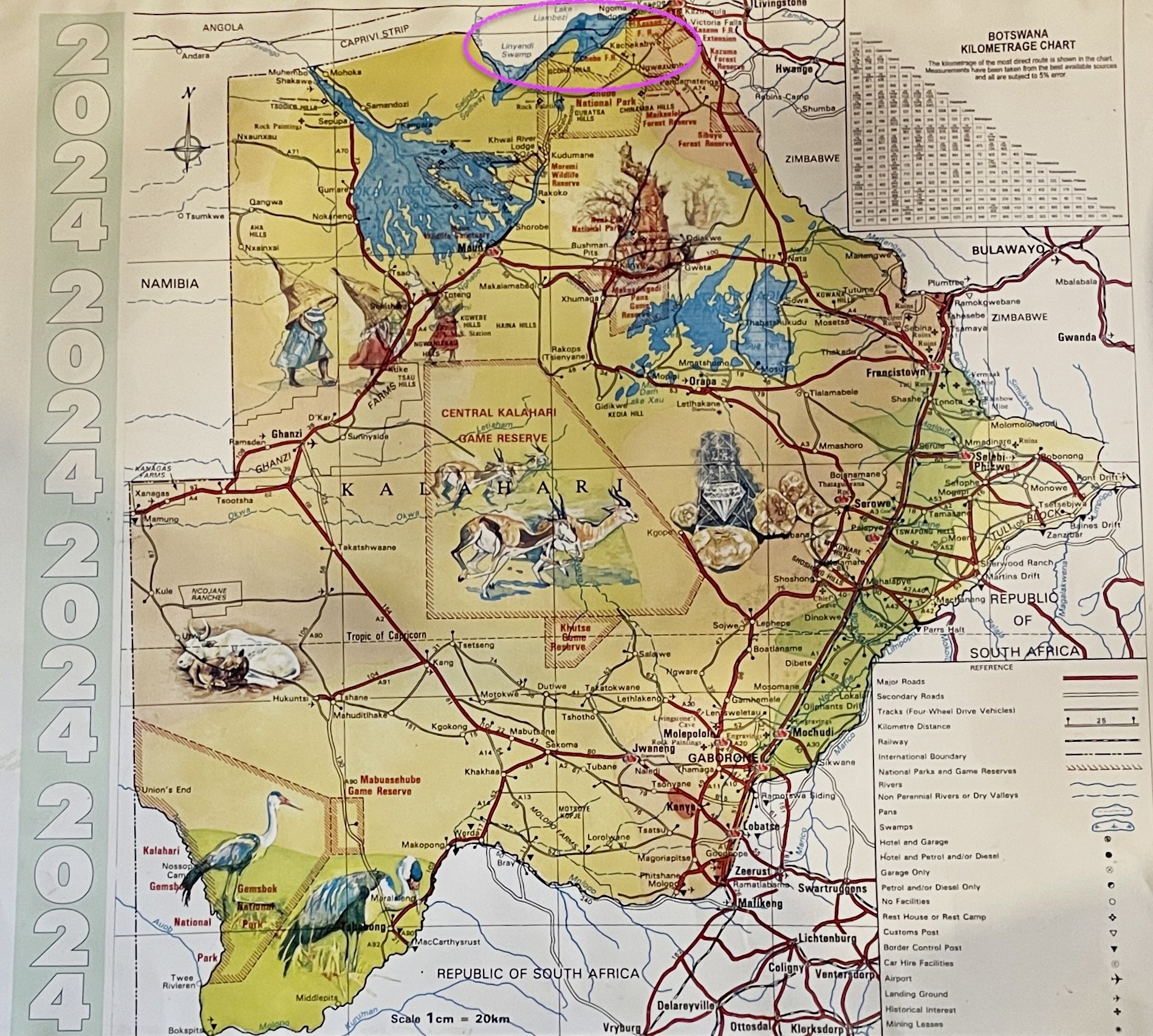   …so our guide K.B. told us about Botswana.  The lesson went down smoothly with a local lager &amp; other cocktails. 