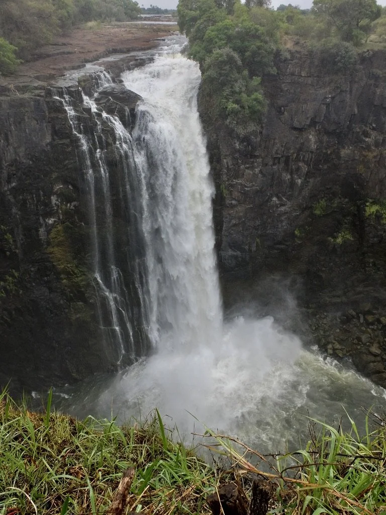  Thundering noise from the Victoria Falls.  Seen from Victoria Falls Nat'l Park RAINFOREST a UNESCO World Heritage Site, Zimbabwe.   