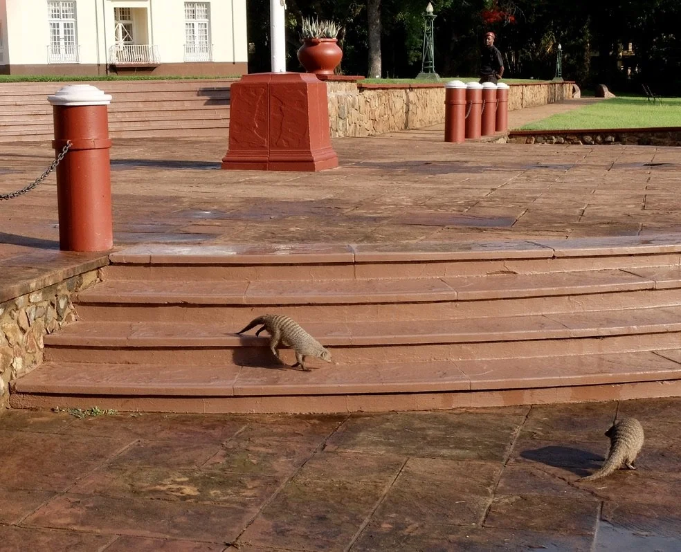  Victoria Falls Hotel, Zimbabwe. 