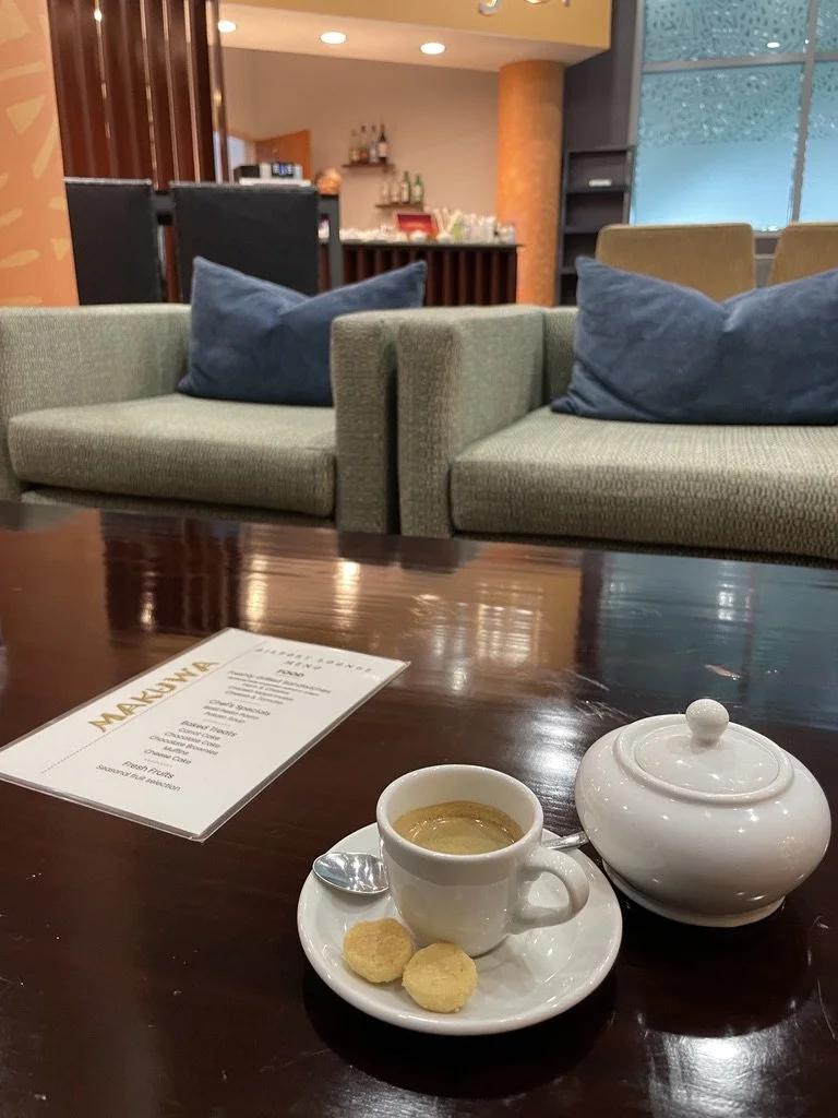   fast jet lounge, Victoria Falls International Airport.   Next up, two flights to Kruger Mpumalanga Internat'l &amp; Skukuza Airports &amp; on to Notten’s Bush Camp in the Sabi Sand Reserve, South Africa.  And, animals galore; even monkeys trying to
