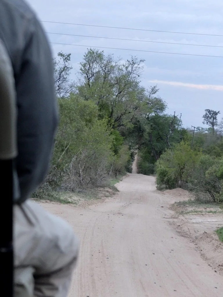  Just loved these roads! 