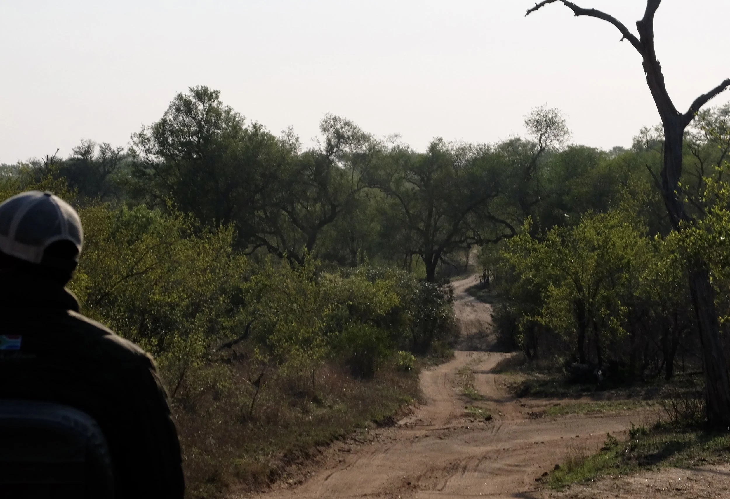  Notten's Bush Camp, Sabi Sand Nature Reserve, South Africa. 